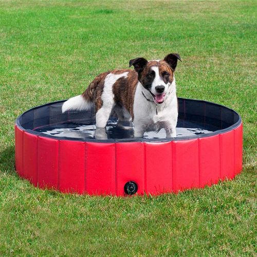 Hundebadewanne Hundepool Planschbecken für Kinder und Hunde, Faltbarer Hundepool 120x30cm Rot - Wyctin
