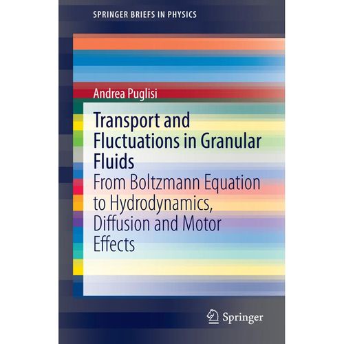 Transport and Fluctuations in Granular Fluids - Andrea Puglisi, Kartoniert (TB)