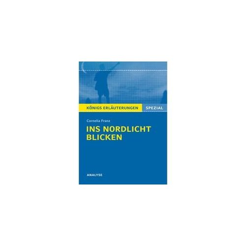 Cornelia Franz "Ins Nordlicht Blicken" - Cornelia Franz Taschenbuch
