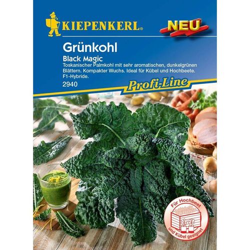 Kiepenkerl - Grünkohl Black Magic - Gemüsesamen