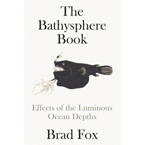 The Bathysphere Book - Brad Fox, Gebunden