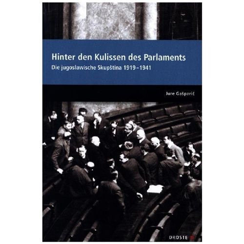Parlamente in Europa / Hinter den Kulissen des Parlaments - Jure Gasparic, Kartoniert (TB)