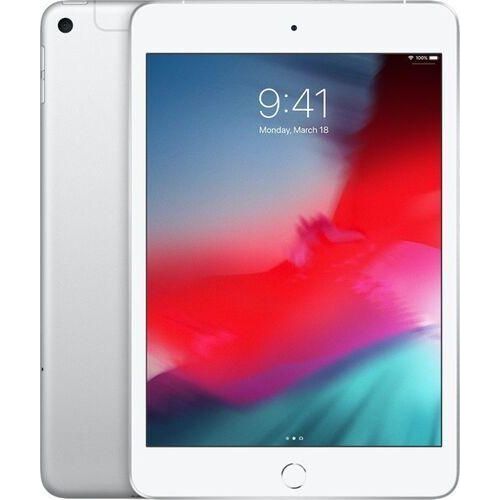 iPad mini 5 (2019) | 7.9