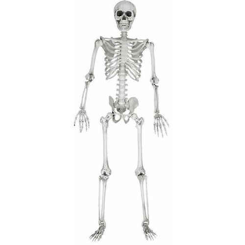 Northix - Skelett, lebensgroß - 170 cm