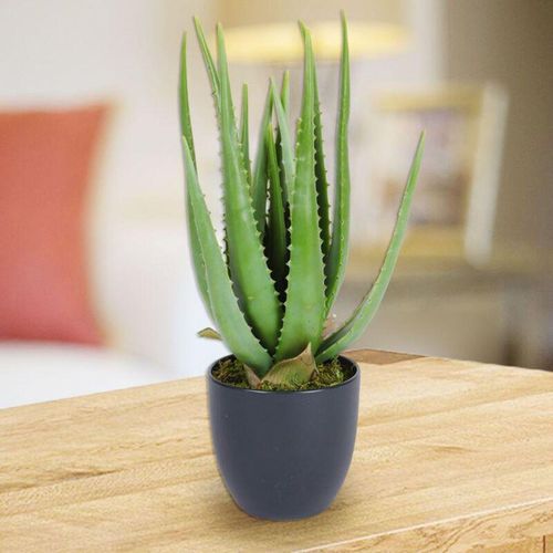 Buri - Künstliche Aloe Vera im Topf 45cm Kunstpflanze Dekopflanze Blumentopf Aloevera