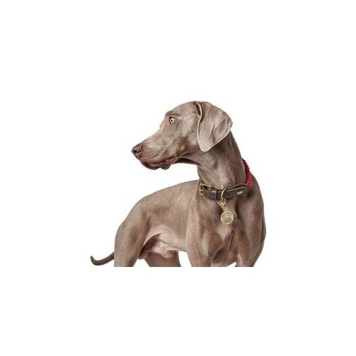 Hunter Hundehalsband List Halsband Bordeaux 57-65cm