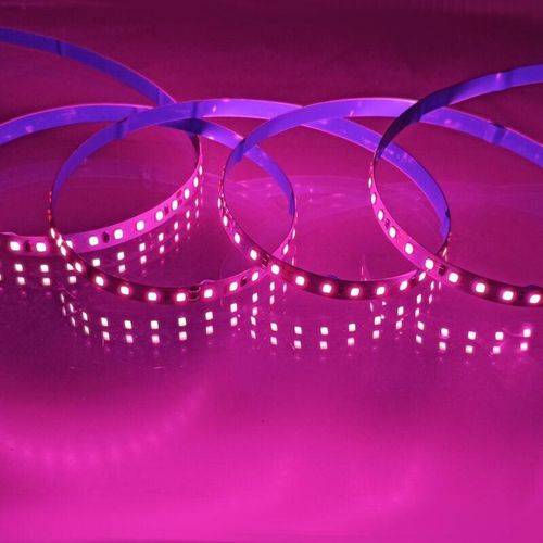 Pink 120led/m pcb 8mm 12W/M IP20 5 Meter LEDs tir - Jandei