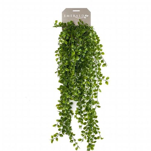 Prolenta Premium - Künstlicher Kletter-Ficus künstlich 80 cm - Grün