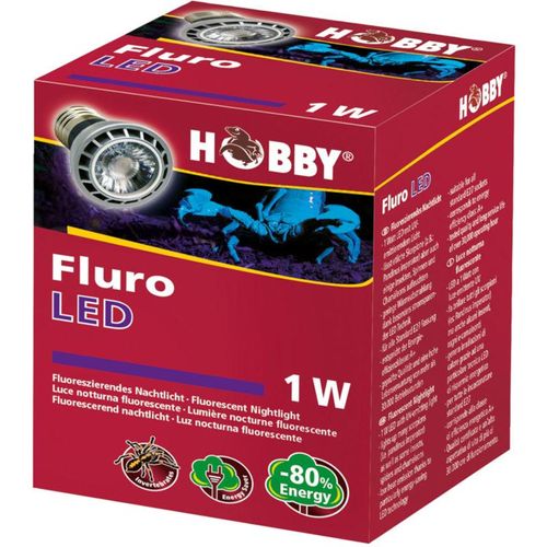 Hobby Fluro LED, Fluoreszierendes Nachtlicht - 1W