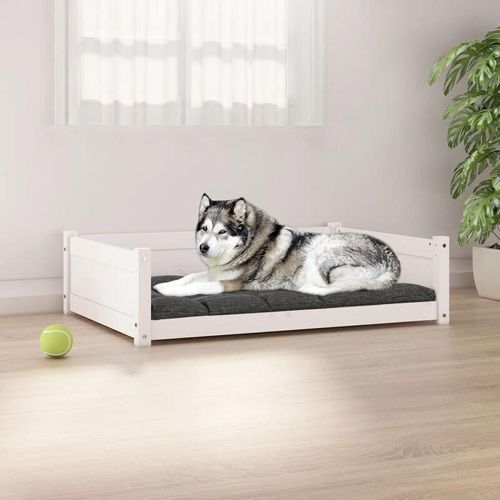 Hundebett Weiß 105,5x75,5x28 cm Massivholz - Weiß - Prolenta Premium