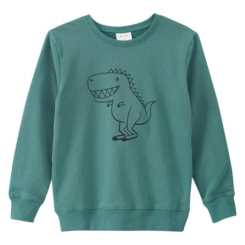 Jungen Sweatshirt mit Dino-Print