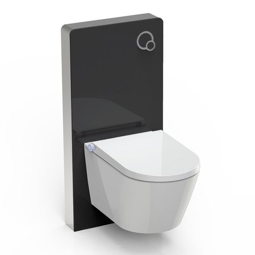 WC-Sparpaket 7: Dusch-WC Basic 1102 & Sanitärmodul 805 in Schwarz