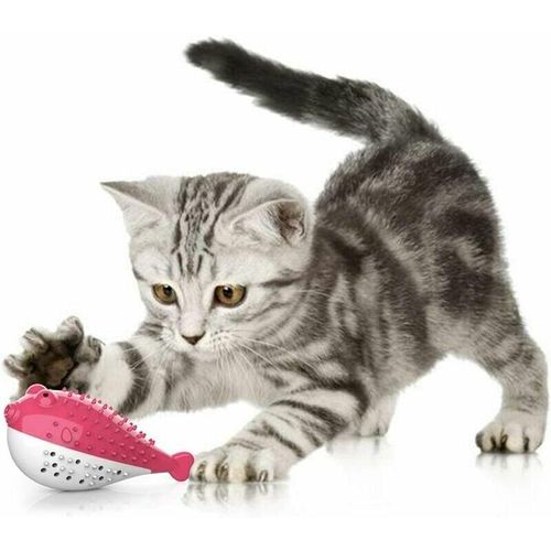 Tovbmup - Zahnspielzeug für Katzen, Katzenspielzeug aus Silikon, Backenzahn-Kauspielzeug, Kätzchenspielzeug, Katzenminze, Zahnbürste, Fischform,
