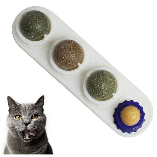Fvbjd - Katzenminze-Wandspielzeug, Kätzchenspielzeug zum Lecken von Katzen, sicheres, gesundes Kätzchen-Kauspielzeug, Zahnreinigungsspielzeug für
