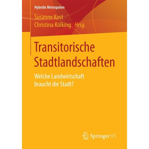 Transitorische Stadtlandschaften, Kartoniert (TB)