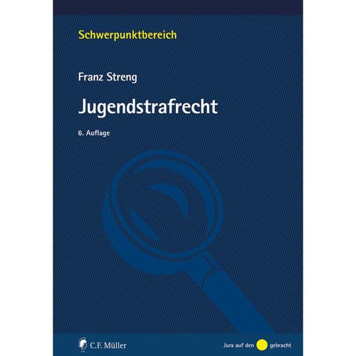 Jugendstrafrecht - Franz Streng, Kartoniert (TB)