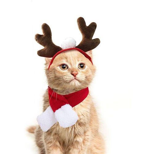 Weihnachtskostüm für Katzen, Weihnachtsmann-Mütze+Schals