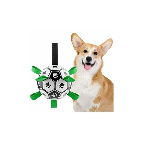 Hundespielzeug, Hundespielzeug Interaktiver Fußball-Fußball, Interaktiver Hundespielzeug-Ball mit Griff, Hundespielzeug-Haustier-Übungsspiel