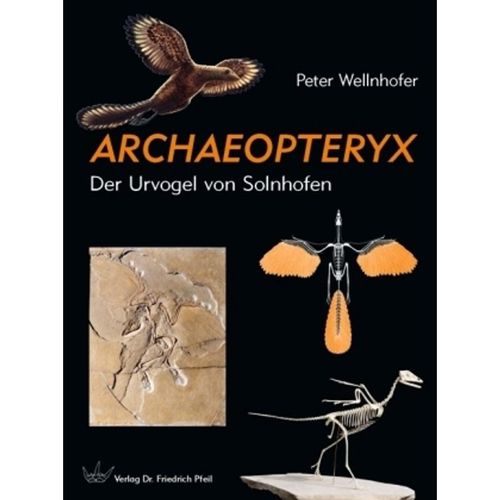 Archaeopteryx - Peter Wellnhofer, Gebunden