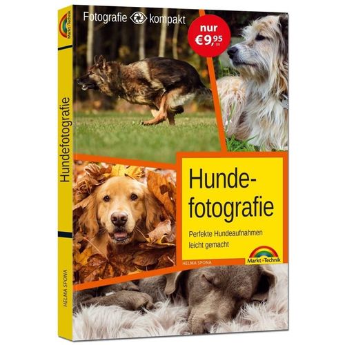Fotografie kompakt / Hundefotografie - Helma Spona, Kartoniert (TB)