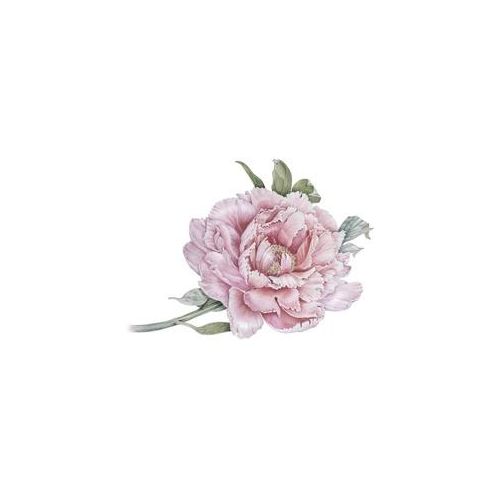 queence Wandtattoo »Klara«, (1 St.) queence rosa