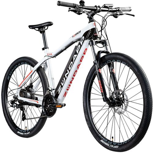 Z801 E-Bike E Mountainbike 27