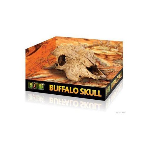 EXOTERRA - Cave Buffalo Skull - (222.2057)