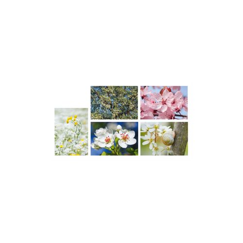 Grusskarte »Motivkarte Blumen«