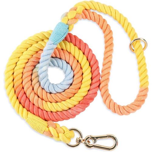 Hundeleine aus geflochtenem Seil für kleine, mittelgroße und große Hunde, bunter Regenbogen
