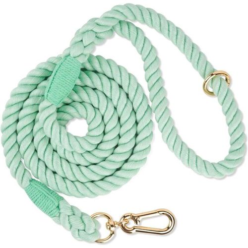 Eting - Hundeleine aus geflochtenem Seil für kleine, mittelgroße und große Hunde, hellgrün
