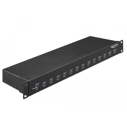 DeLOCK Industrie Hub USB 3.1 Gen 1 Typ-A 19 Zoll