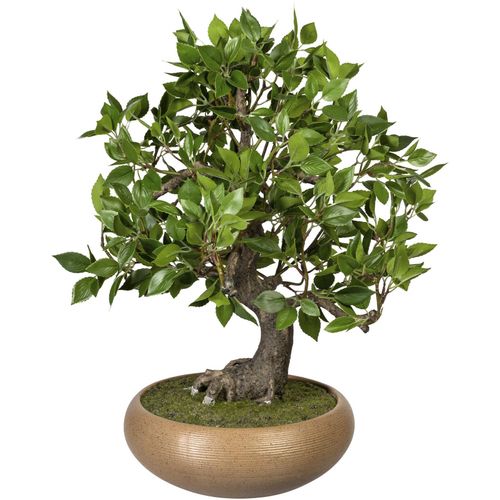Kunstbonsai CREATIV GREEN "Bonsai Ficus" Kunstpflanzen Gr. Ø/H: 40 cm x 50 cm, 1 St., grün Kunst-Bonsai
