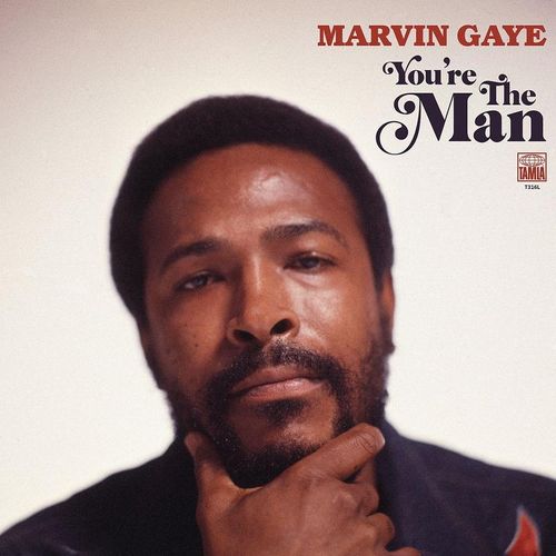 You're The Man - Marvin Gaye. (CD)