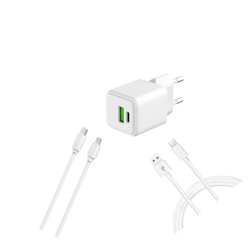 Kabel und Wandgesteck (USB-C + USB-C) 20W - WTK