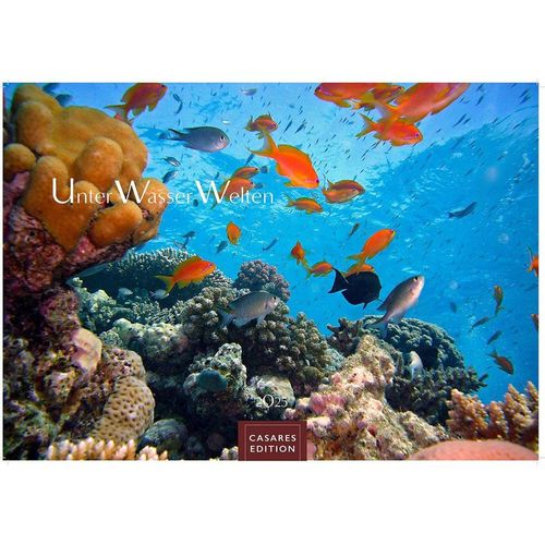 Unterwasserwelten 2025 L 35x50cm