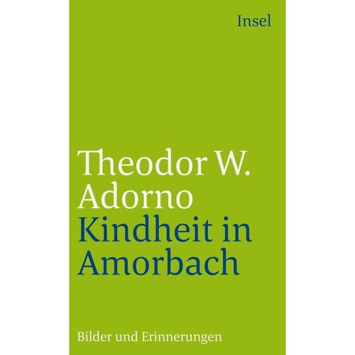 Kindheit in Amorbach - Theodor W. Adorno, Taschenbuch