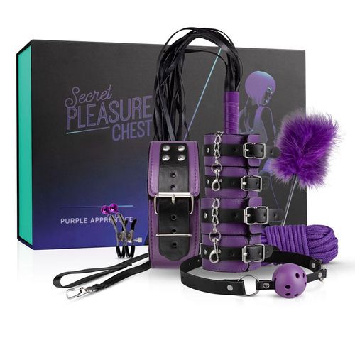 Secret Pleasure Chest »Purple Apprentice« BDSM Set