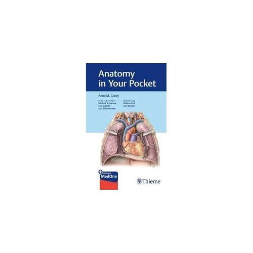 Anatomy In Your Pocket Anatomy Flash Cards - Anne M Gilroy Kartoniert (TB)