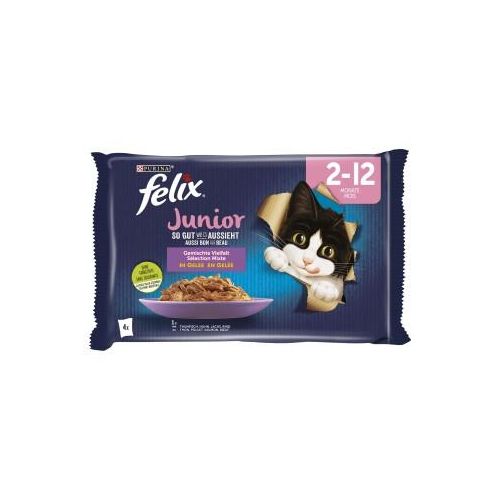 Felix Junior Vielfalt Gelée 12x85g