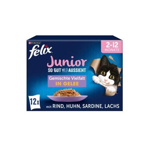 Felix So gut wie es aussieht Junior 12x85g