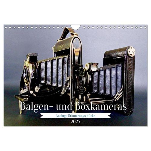 Balgen- und Boxkameras - Analoge Erinnerungsstücke (Wandkalender 2025 DIN A4 quer), CALVENDO Monatskalender
