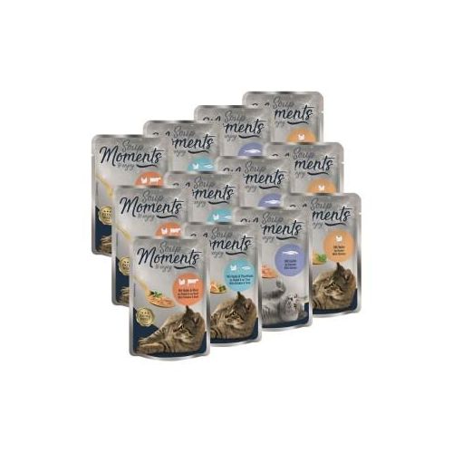 MOMENTS My Soup Mixpaket 12x40g