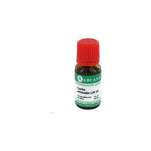 Carbo Animalis LM 6 Dilution 10 ml