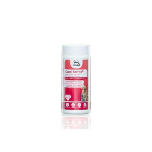 Fortan Carni-Fortan Pulver mit L-Carnitin 80 g