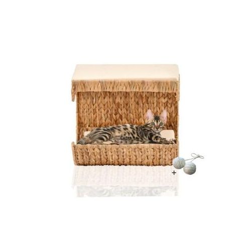 Rohrschneider ® Katzen Liegemulde Cäsar für Wandmontage, Kletterwand-Element mit Gratis-Spielballset