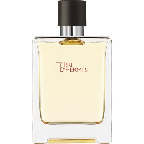 HERMÈS Terre d’Hermès EDT für Herren 100 ml