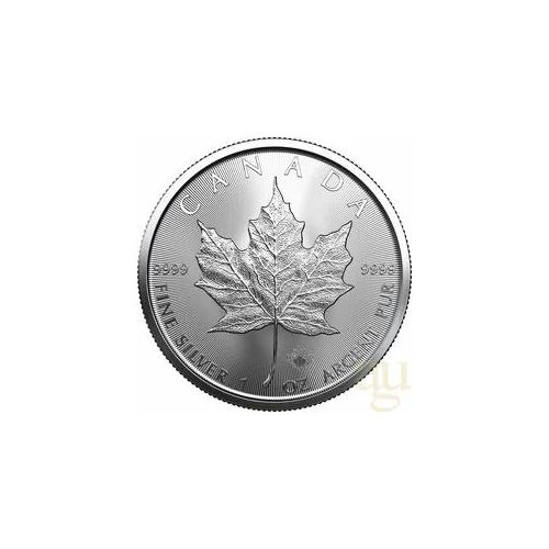 1 Unze Silbermünze Maple Leaf 2023
