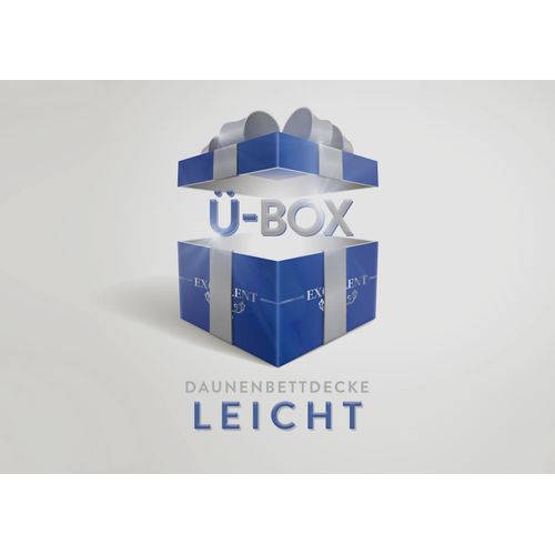 Excellent Daunenbettdecke »Überraschungsbox«, leicht, Füllung 90% Daunen, 10% Federn, Bezug Baumwolle, (1 St.), absoluter Sonderpreis, wegen Lagerräumung, Solange der Vorrat reicht