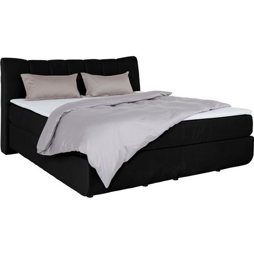 Boxspringbett LEONIQUE 