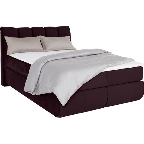 Boxspringbett LEONIQUE 